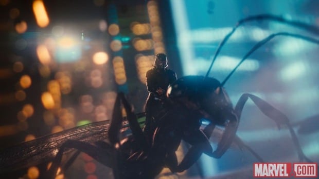 news_antman36